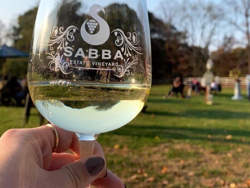 SABBA Vineyard logo