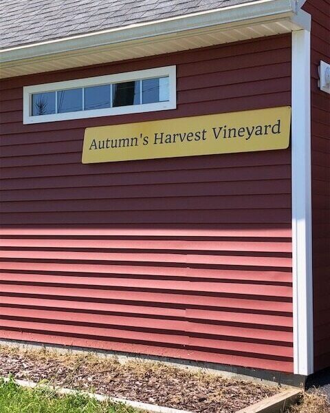 Autumn’s Harvest Vineyard logo